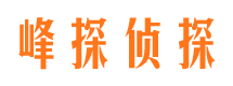 双桥外遇出轨调查取证